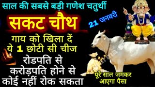 सकट चौथ 2022 पूजा विधि,व्रत नियम गाय को खिला दें ये छोटी सी चीज |Sankasti Chaturthi 2022 |Til Chauth