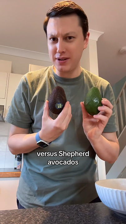 Hass vs Shepherd Avocados? #australia