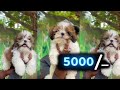# dog # dm #Plase #Anna #9347972734