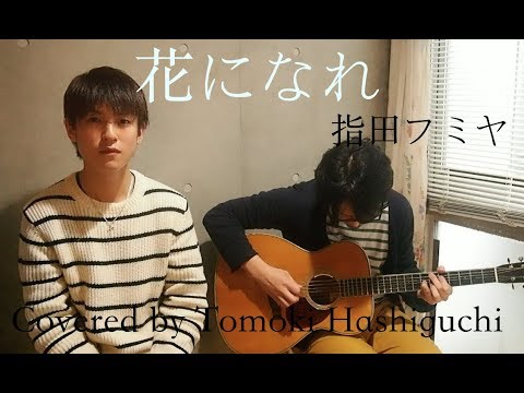 【Cover】花になれ / 指田フミヤ　【Covered by 橋口智紀】