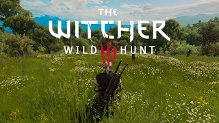 Witcher 3: The Nature of Toussaint [Ambience / Music]
