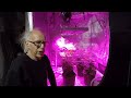 Cannabis Four Plant Home Grow System