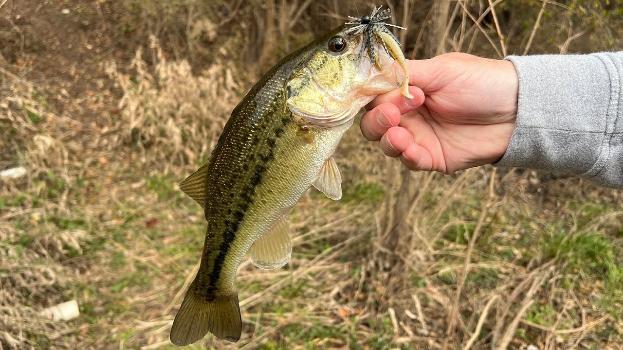 Fishing a Slim Shad & Spin Jig for Winter Creek Bass - Check out