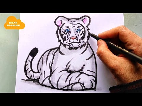 Apprendre a dessiner un tigre blanc etape par etape 