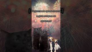 #memes #meme #memesvideo #shortvideo #dog #cat #нарезки #мемы #меме #мемы #приколы #приколыскошками