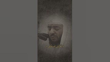 تلاوة من سورة القيامة للقارئ وديع اليماني