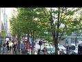 Exklusiv: Mann mit gestohlenem Rad versucht neben Polizei weiteres Rad zu stehlen in Bonner 16.4.26