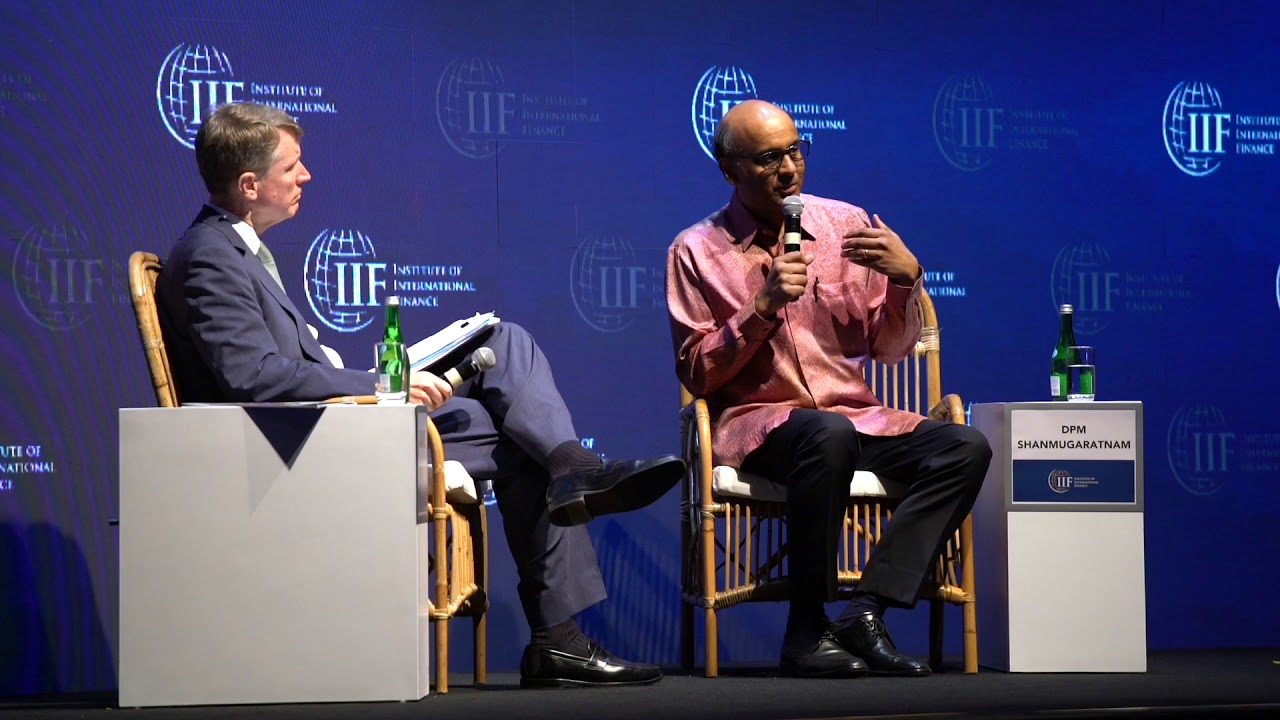 (G20 EPG on Global Financial Governance) In Conversation: Making the System Work as a System