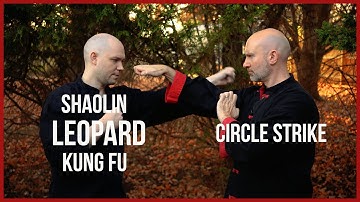 Shaolin Leopard Kung Fu - Circle & Strike 👊🏽🧘‍☯ #martialarts #kungfu #shaolin #danielmattson