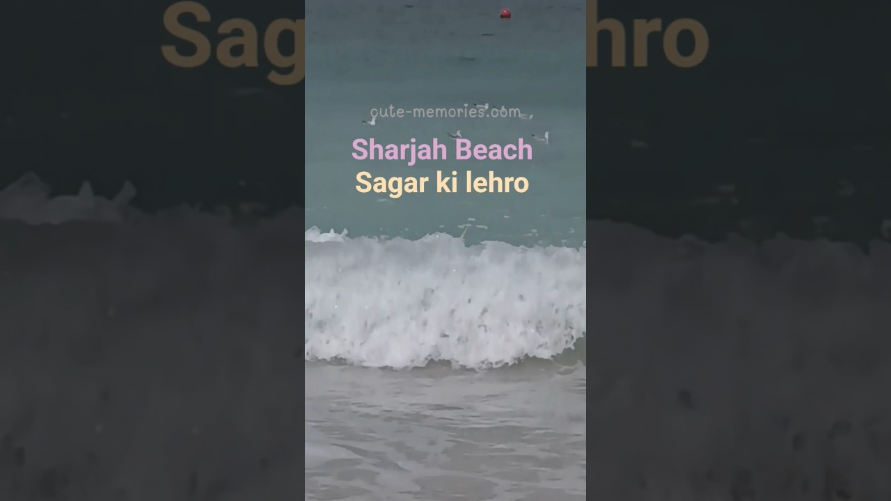 Sharjah beach 🏖️ Sagar ki lehro🌊 #sagar #beach  #sharjahbeach  #travel #birds #song #love #nature