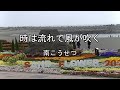 2026-5-6 時は流れて風が吹く/南こうせつ(宮崎市サンドフラワーフェスタ2026)