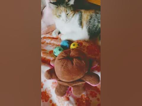 Пов:🤣 - YouTube