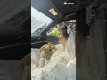 Trafik Polisi Geline Para Taktı #shortvideo #shorts #polis