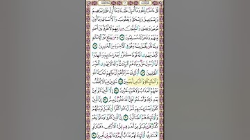 صفحة 61 من القرآن الكريم بصوت القارئ الشيخ ميثم التمار