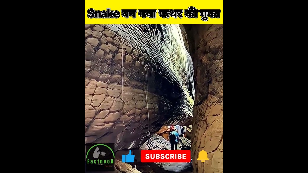 Snake बन गया पत्थर की गुफा 