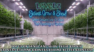 Wildest Grow & Show On YouTube With LeVeLz & This Grow Community Where We Link Share These Growz!!