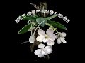 Một Giờ Của Bố - Chuơng trình - Nét Đẹp Cuộc Đời