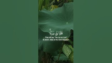 | القرآن الكريم | ماتيسر من سورة الأنعام القارئ محمد اللحيدان