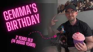 Gemma's 2nd Birthday! Miniature Schnauzer has a great day! #funny #cute #dog #animals