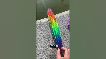 Những Chú Bọ Màu Sắc Biết Nhảy Đây Rồi ☺️