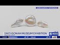 Freshwater pearls representing Tennessee at Smithsonian’s ‘America 250’ exhibition
