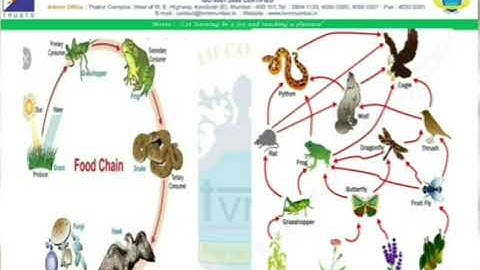 Std 10, Science & Technology Part 2,4.Environmental Management (Part 1),Mr.Nitin Mhapsekar