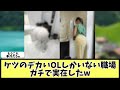 パラダイスみたいな職場、発見されるwww