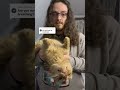 This is NOT taxidermy…