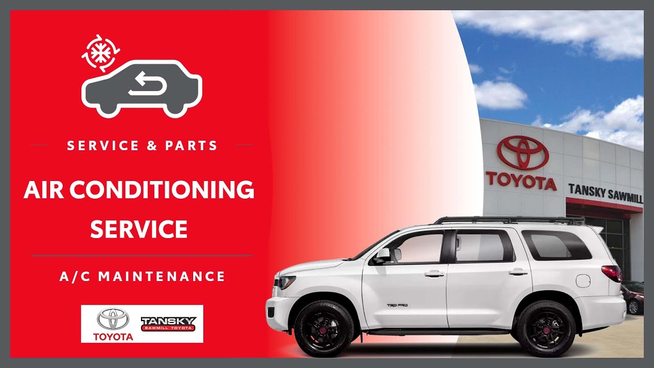 Discover 81+ about toyota sawmill tansky latest in.daotaonec