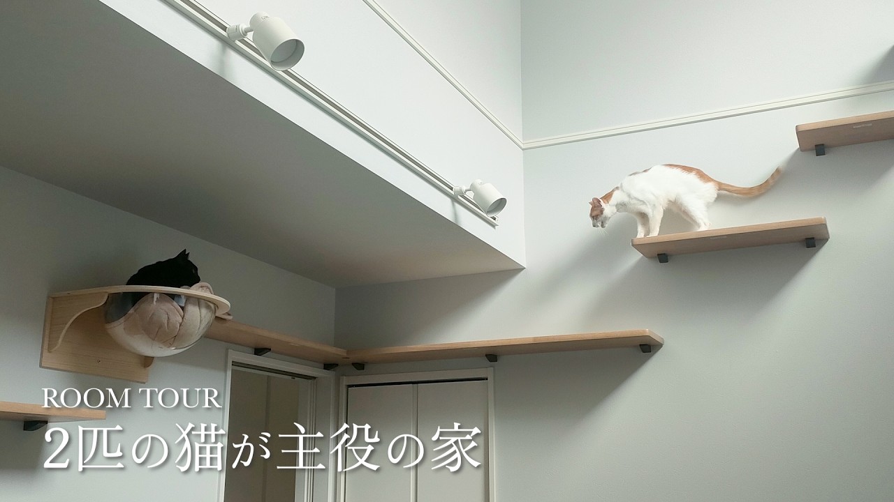【ルームツアー】愛猫2匹と心地よく暮らす全館空調の家｜吹き抜けのキャットウォークがある注文住宅