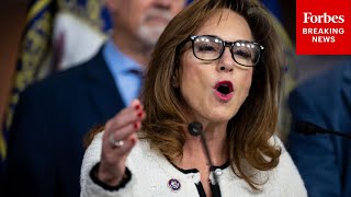 'Every Single Democrat Voted Against Saving You Money': Lisa McClain Discusses GOP Legislation
