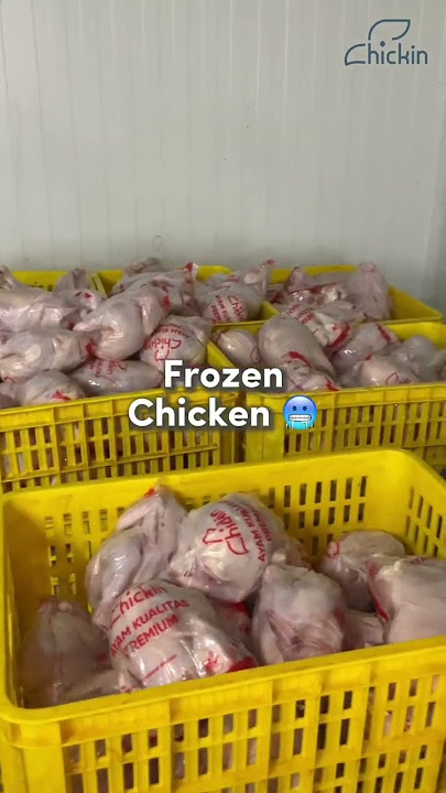 Rahasia Produk Berkualitas Chickin Fresh: Ayam Frozen, Tulang, dan Fillet #suplierayam