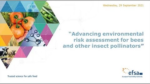 Advancing environmental risk assessment for bees and other insect pollinators