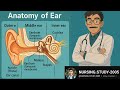 ANATOMY OF EAR II PARTS OF EAR II