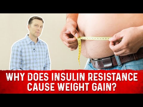 Why Does Insulin Resistance Cause Weight Gain?