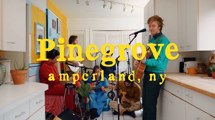 Pinegrove - "Amperland, NY" - The Movie