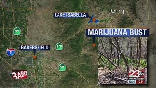 Kern County Sheriff's discover massive marijuana farm
