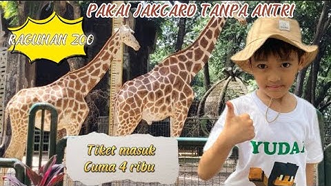 Kebun Binatang RAGUNAN 2023 | Taman Margasatwa Ragunan Zoo | Wisata Jakarta Indonesia | Jakarta zoo