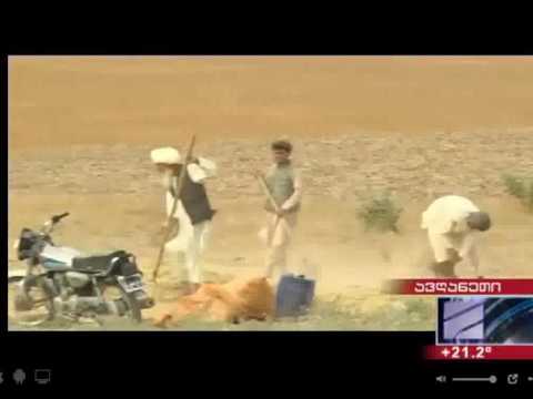 რუსთავი 2 - 08:11 სთ