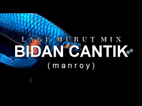 (LAGU MURUT) NEW VERSION BIDAN CANTIK | MIX TARIK SIS SEMONGKO | MANROY