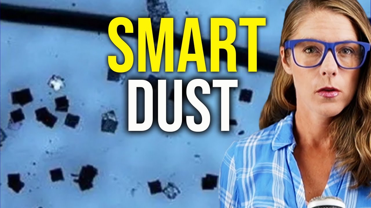 Smart dust technology – technocracy’s new tool? || Ryan Cristiàn