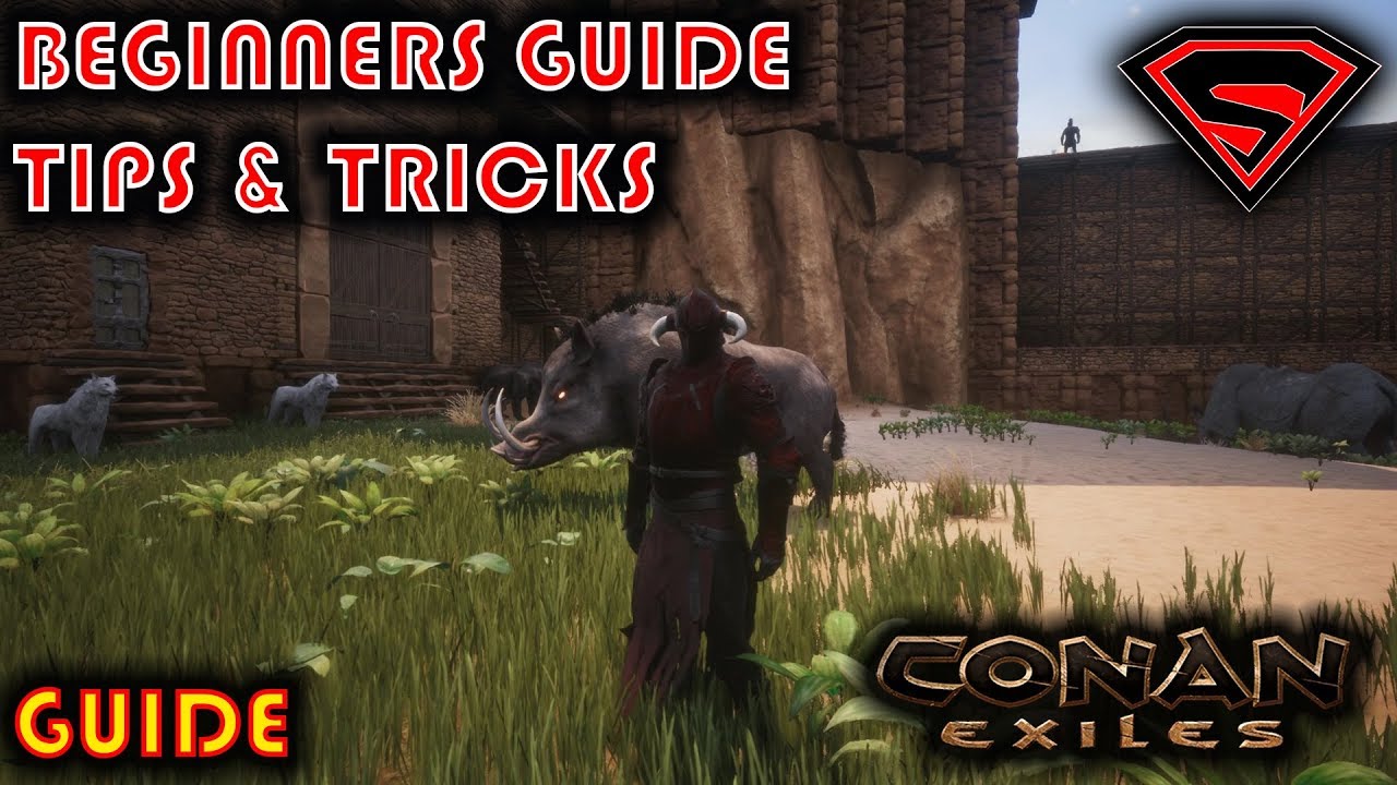 Mod stærk visuel CONAN EXILES BEGINNERS GUIDE TIPS AND TRICKS - BEGINNERS GUIDE 2019 -  YouTube