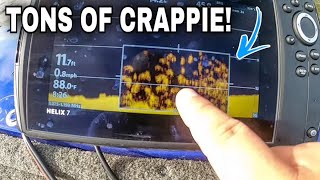 How To Locate Brush Piles With Side Imaging For CRAPPIE Made EASY!