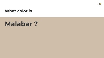 Malabar color #cfbea9 hex color - Yellow color - Cool color cfbea9