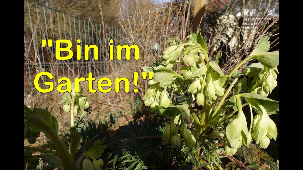 Erwachendes Leben im Vorfrühling