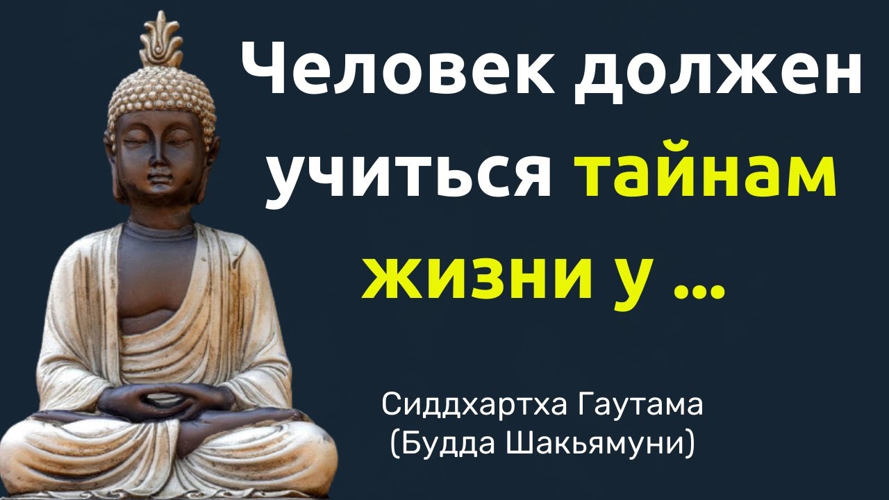 Вдохновляющие слова Сиддхартха Гаутама (Будда Шакьямуни). Цитаты