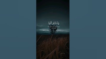 ارح سمعك 🎧 #عبدالرحمن_مسعد #quran #القرآن_الكريم #راحة_نفسية #تلاوة_خاشعة #اكسبلور