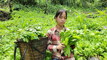 Girl Pick Vegetables To Sell, Take Care of Plants and Nimals, and Clean Up The Farm | orphans