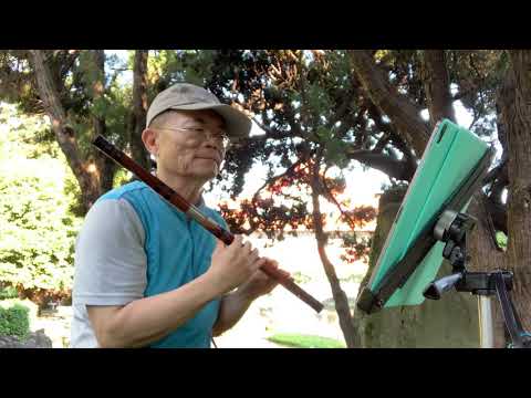 阿舜胡吹黃昏D笛D調