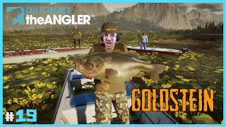 GOLDSTEIN, EL LEGENDARIO DE GOLDEN RIDGE | 🐟CotW: theANGLER #19